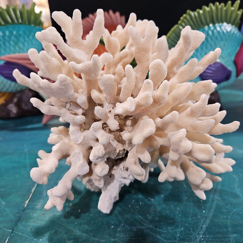 Vintage Branch Coral - 7"