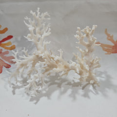 Vintage White Lace Coral -6