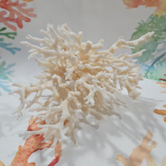 Vintage White Lace Coral -7x7