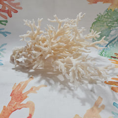 Vintage White Lace Coral -7x7