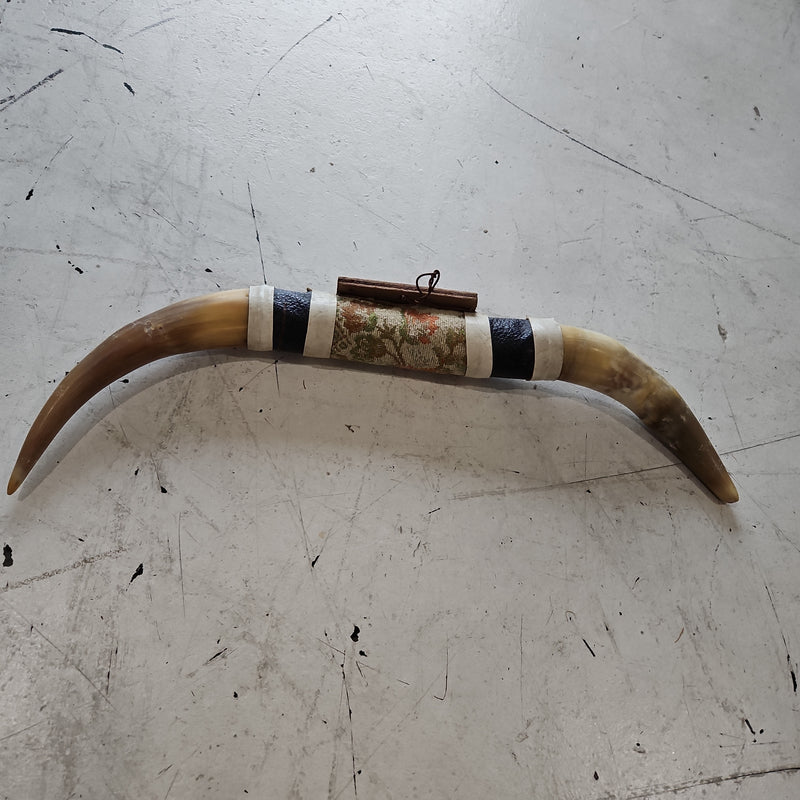 Mounted Bull Horns 21"