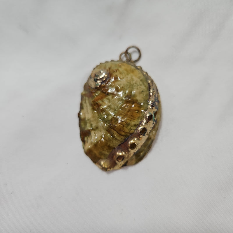 Vintage Abalone Sea Shell Gilded Pendant
