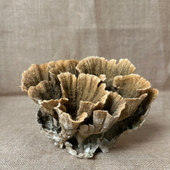 Vintage Natural Poca Coral - 8