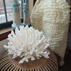 Vintage White Elkhorn Coral - 13