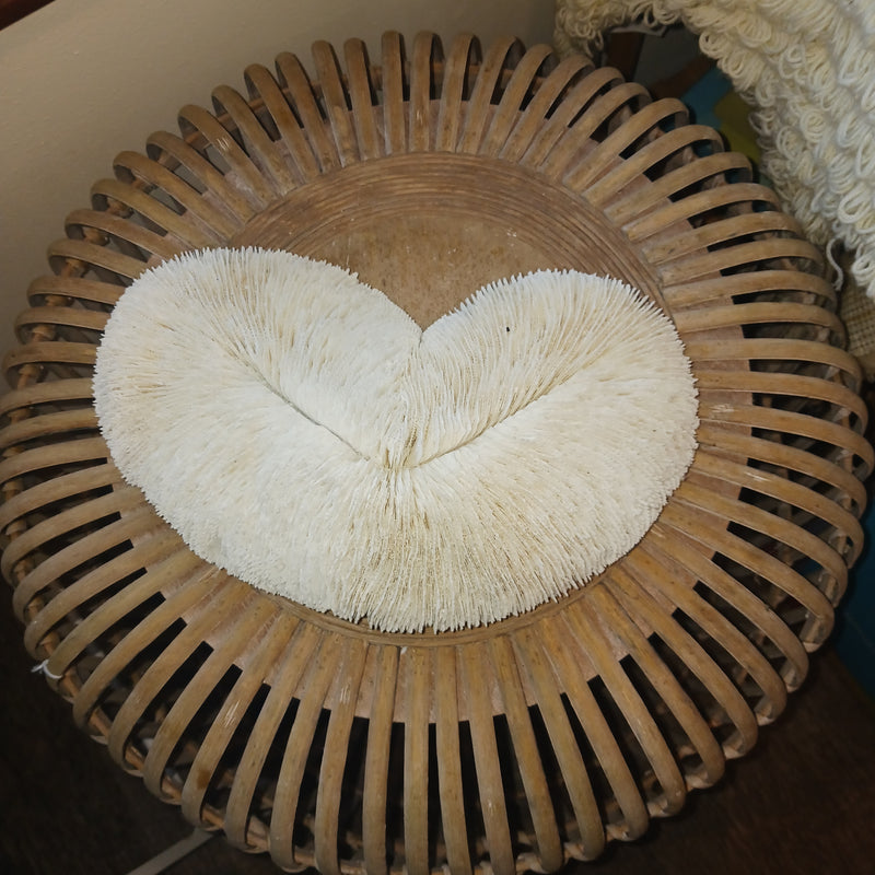 Vintage HEART SHAPE Bone White Slipper Sea Coral Beautiful Long Slender Mushroom Ivory Authentic 10"