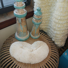 Vintage HEART SHAPE Bone White Slipper Sea Coral Beautiful Long Slender Mushroom Ivory Authentic 10