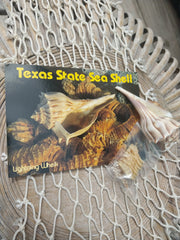 Texas State Sea Shell Gift Pack