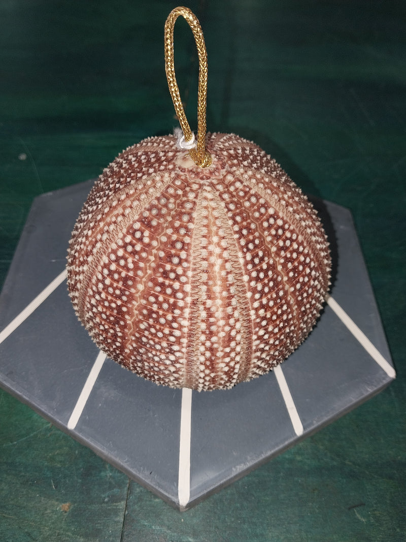 Rust English Urchin Ornament