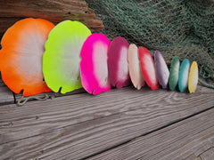 Painted Arrowhead Sand Dollar