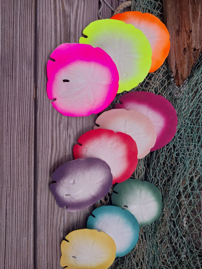 Painted Arrowhead Sand Dollar