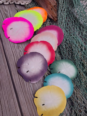 Painted Arrowhead Sand Dollar