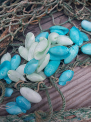 Pastel Dyed Bubble Shells