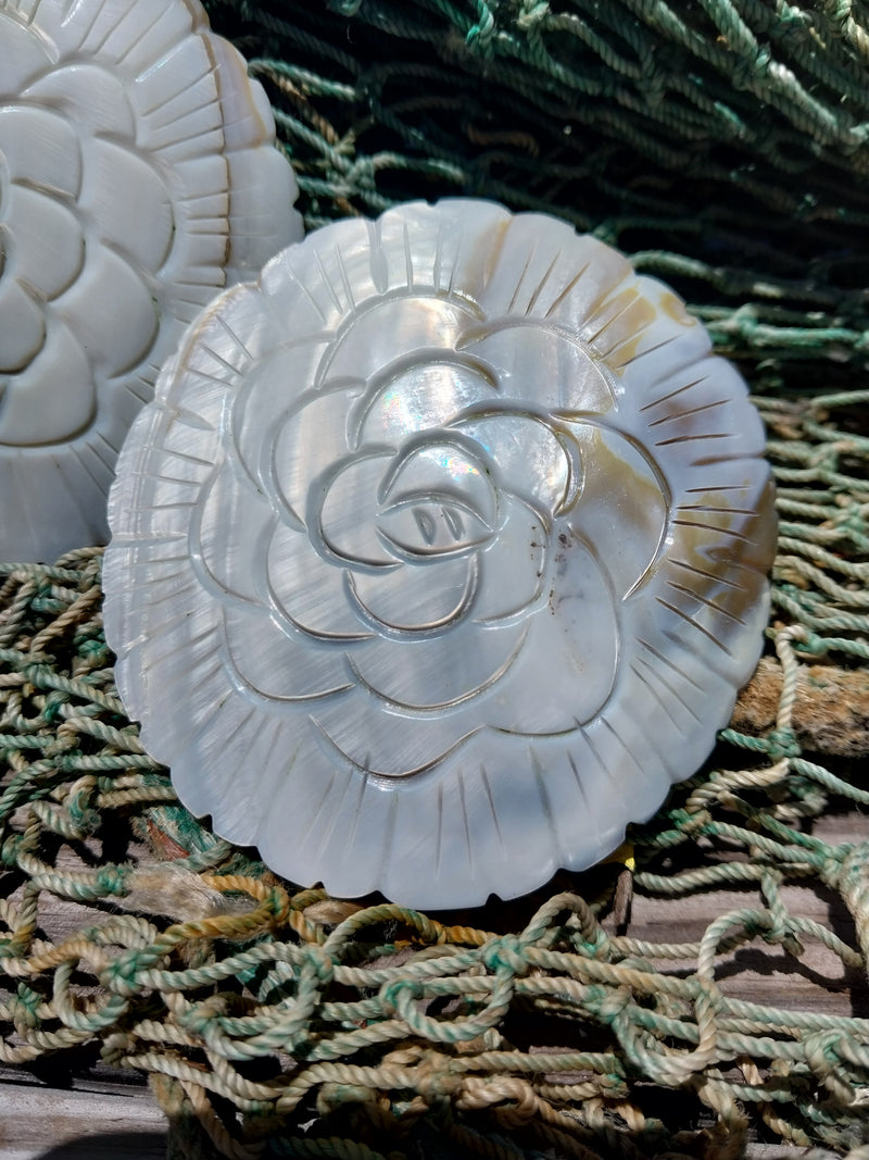 Carved River Clam