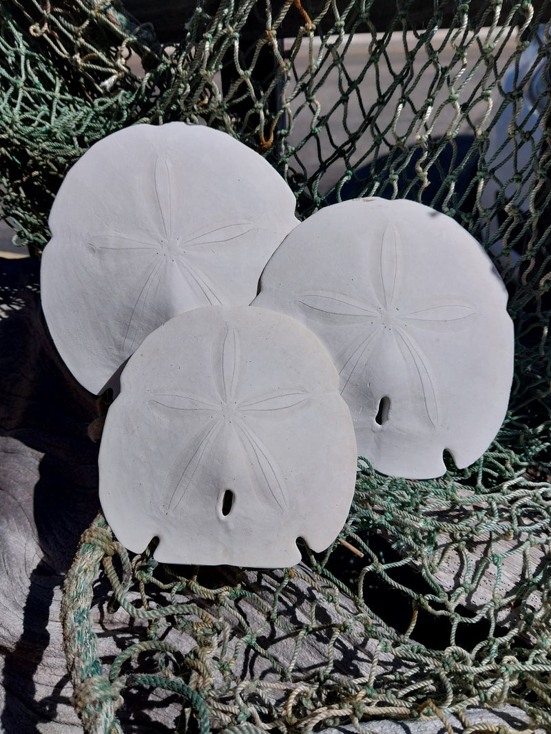 Arrowhead Sand Dollar- Four Sizes