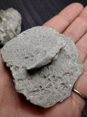 Elephant Ear Selenite Gypsum Quartz Mineral