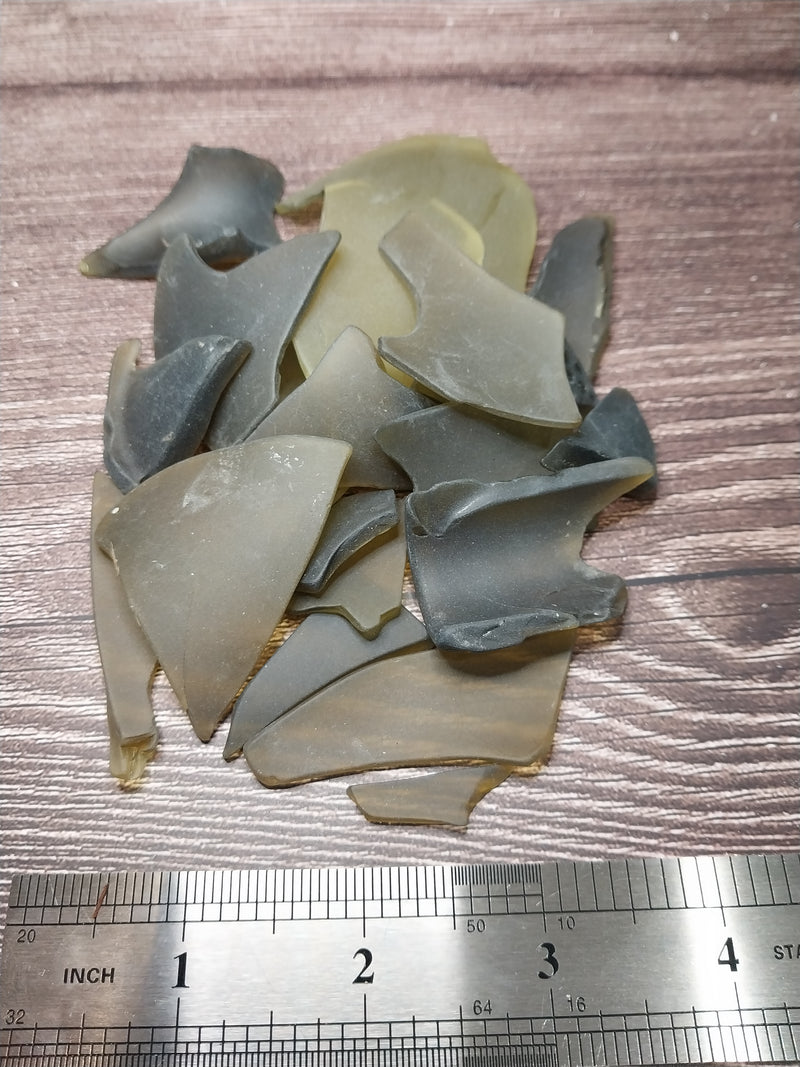 Frosted olive green seaglass pieces with a ruler for size reference