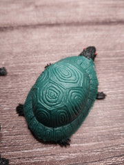 Plastic Play Box Turtle