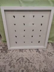 Shark teeth shadow box- Made to order