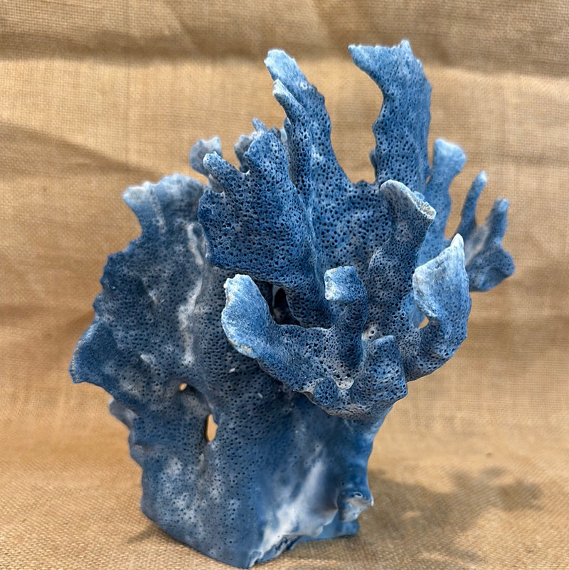 Vintage Blue Ridge Coral - 8"x7"x8"