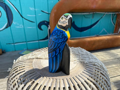 Medium Parrot On Black Wood