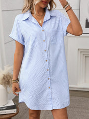 Striped Cotton Linen Shirt Dress