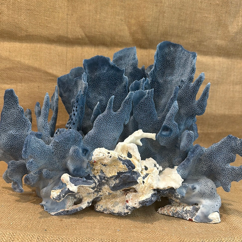 Vintage Blue Ridge Coral - 14"x9"x8"
