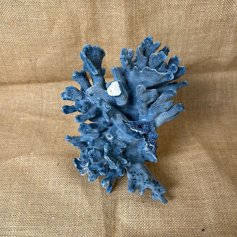 Vintage Blue Ridge Coral - 7"x5"x5.5"