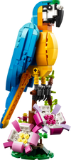 31136 Exotic Parrot