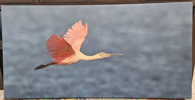 36"x18" Roseate Spoonbill Painting on Canvas - Nature - Inspired Wall Art - wall decorLoving Coastal Living