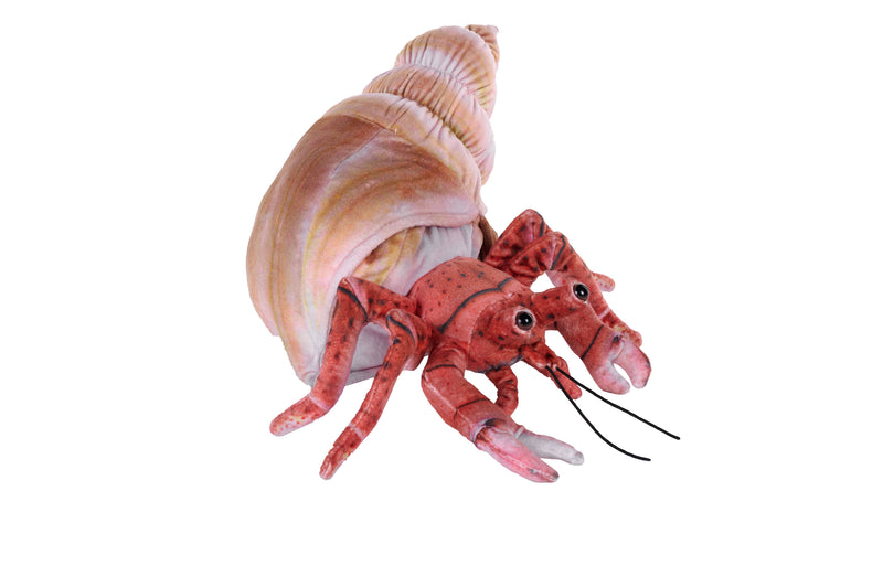 Living Hermit Crab Stuffed Animal 12"