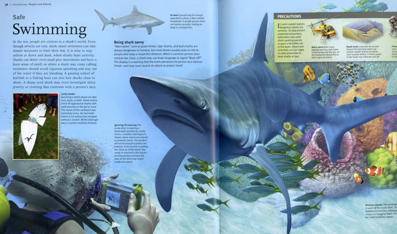 Open book with illustrations of a shark and scuba diver, focusing on safe swimming.