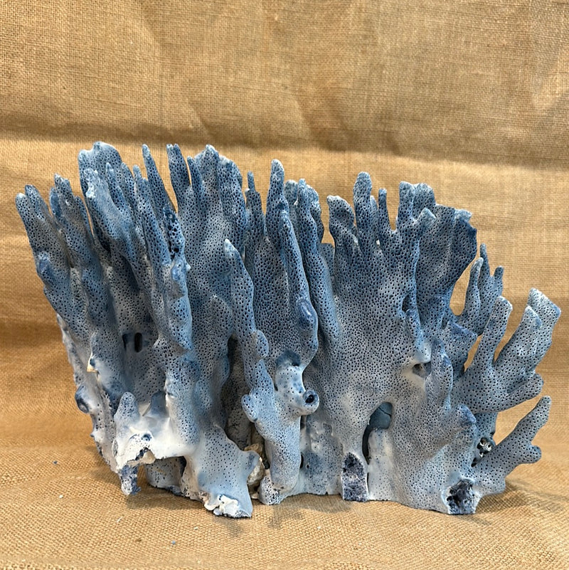 Vintage Blue Ridge Coral - 13"x8"x8"