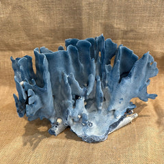 Vintage Blue Ridge Coral - 12