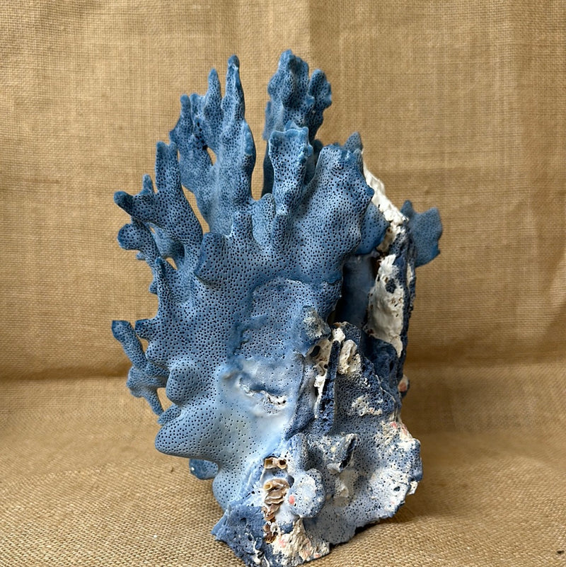 Vintage Blue Ridge Coral - 9.5"x8"x4.5"