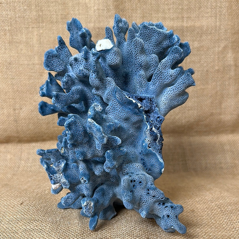 Vintage Blue Ridge Coral - 7"x5"x5.5"