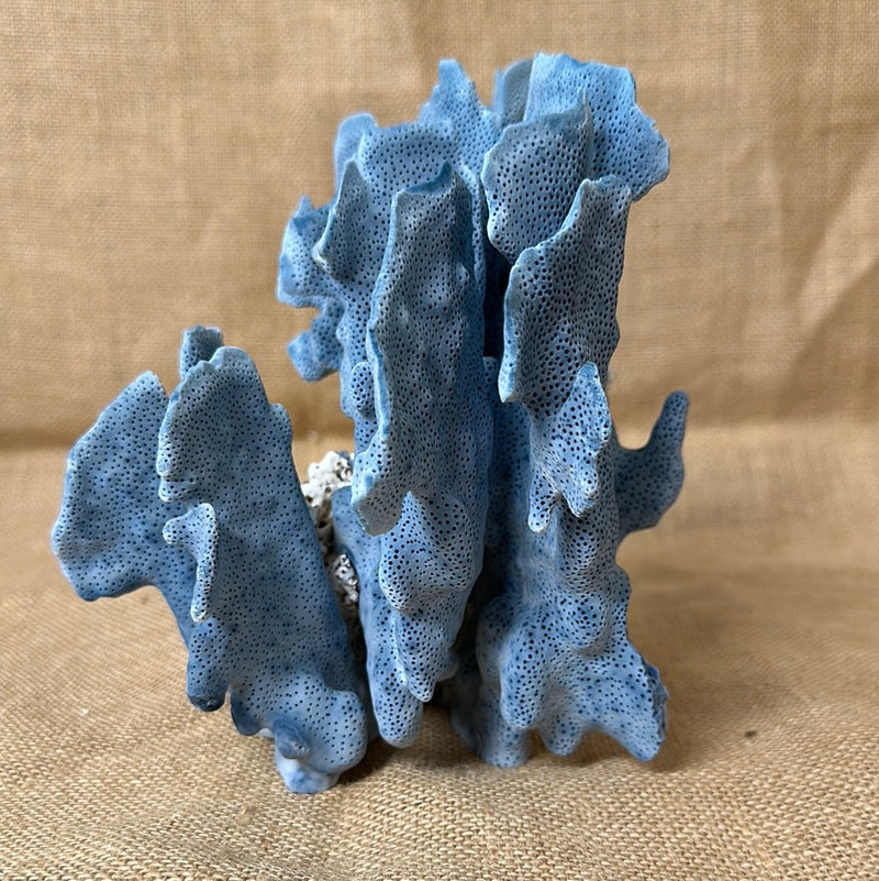 Vintage Blue Ridge Coral - 7"x8"x7"