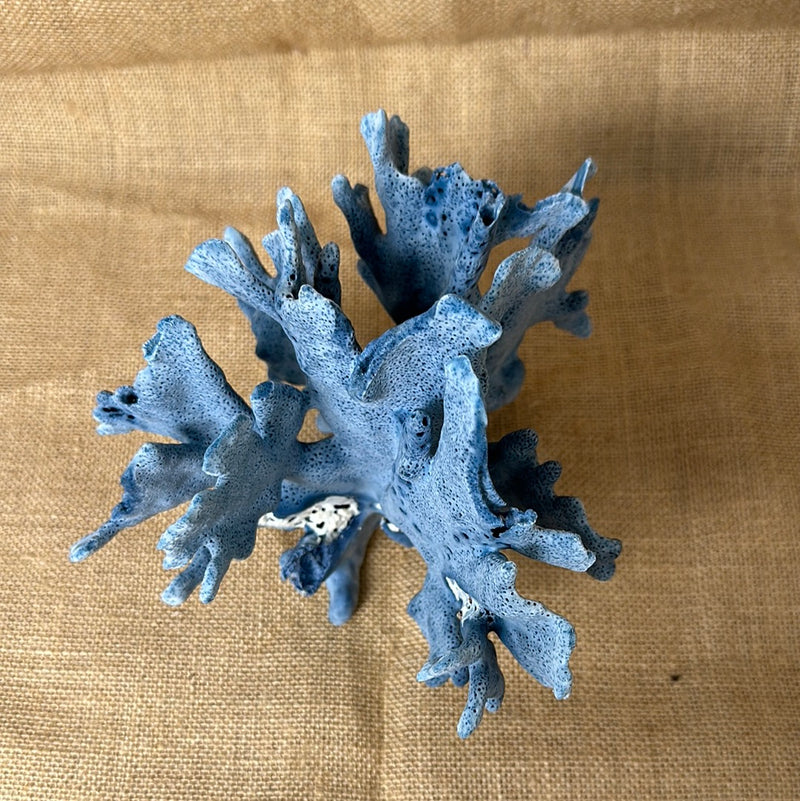 Vintage Blue Ridge Coral - 7"x6.5"x7"