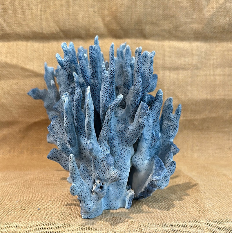 Vintage Blue Ridge Coral - 13"x8"x8"