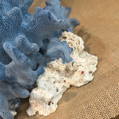 Vintage Blue Ridge Coral - 14