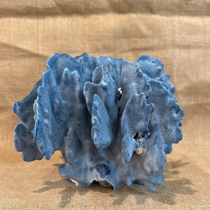 Vintage Blue Ridge Coral - 8"x7"x6.5"
