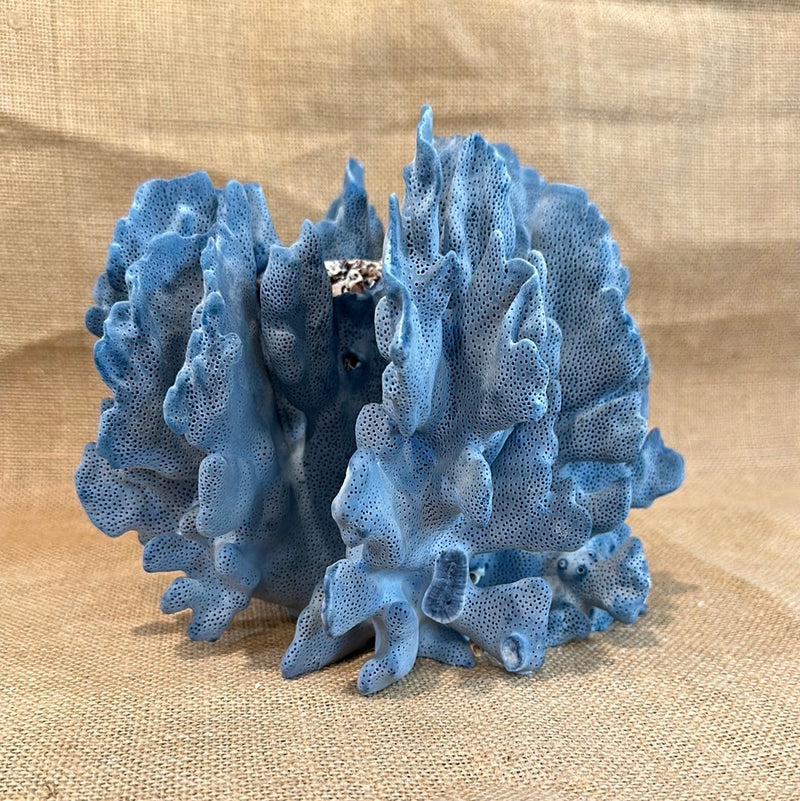 Vintage Blue Ridge Coral - 8"x7"x6.5"