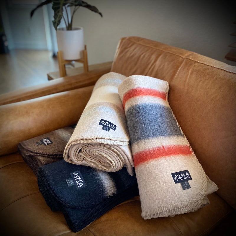 Four rolled alpaca camp throws in black, brown, red, and cream tones displayed on tan leather sofa – premium coastal home décor accent