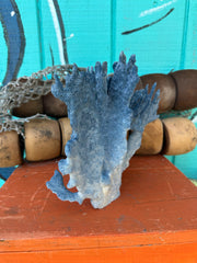 Angled view of Blue Ridge Coral for coastal decor