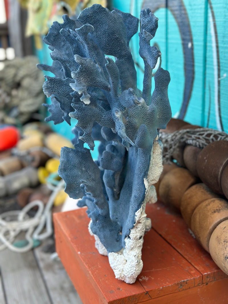 Angled side view of vintage Blue Ridge Coral with natural branching form