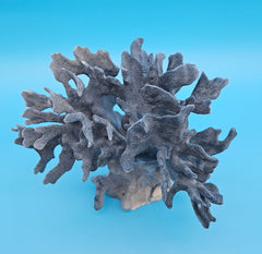 Coastal home decor vintage Blue Ridge Coral natural specimen