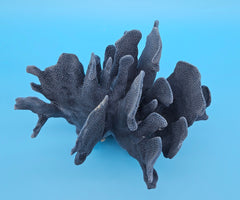 Vintage Natural Blue Ridge Coral Ocean-Inspired Specimen