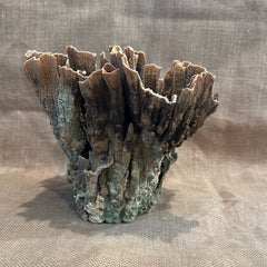 Vintage Natural Poca Coral - 12
