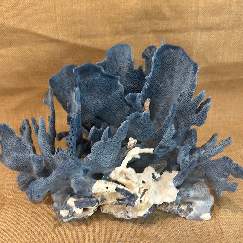 Vintage Blue Ridge Coral - 14"x9"x8"