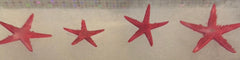 Red, White, & Blue Flat Starfish
