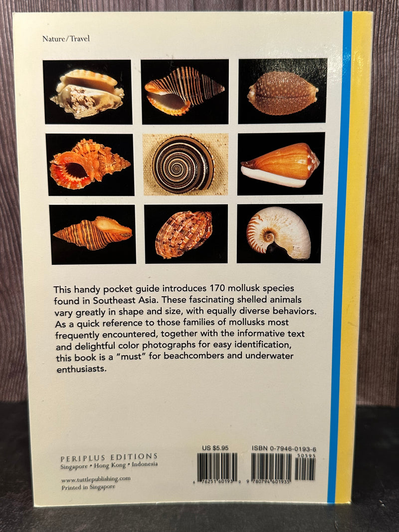 Back cover of Handy Pocket Guide to Tropical Seashells, featuring a detailed tropical seashell illustration.